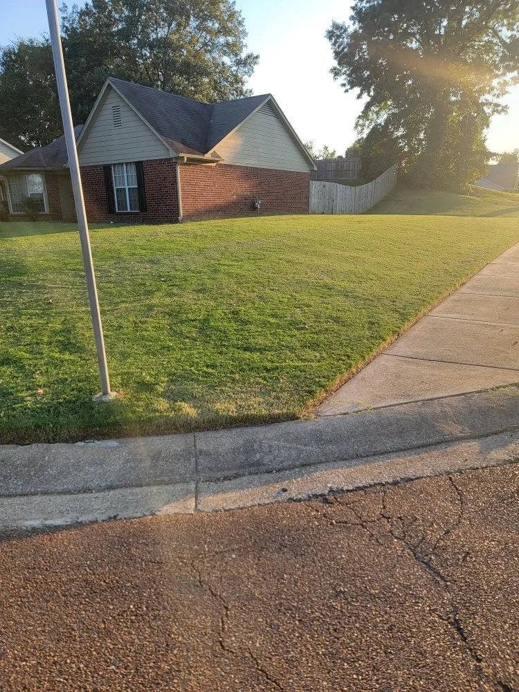 Professional landscape design experts serving Olive Branch, MS - Meadors Southern Lawn Services