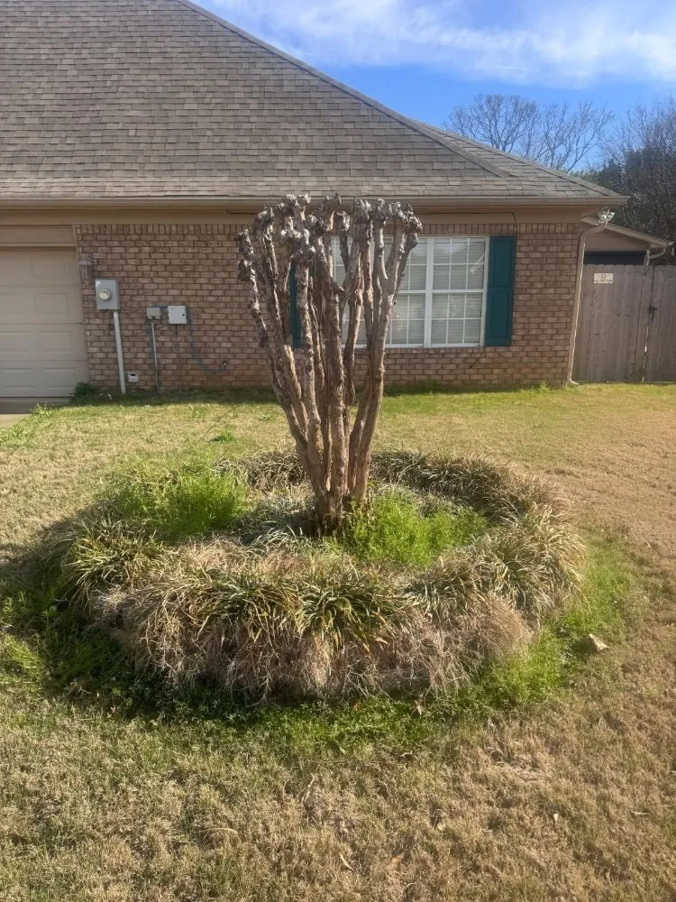 Local lawn care service in Olive Branch, MS by Meadors Southern Lawn Services