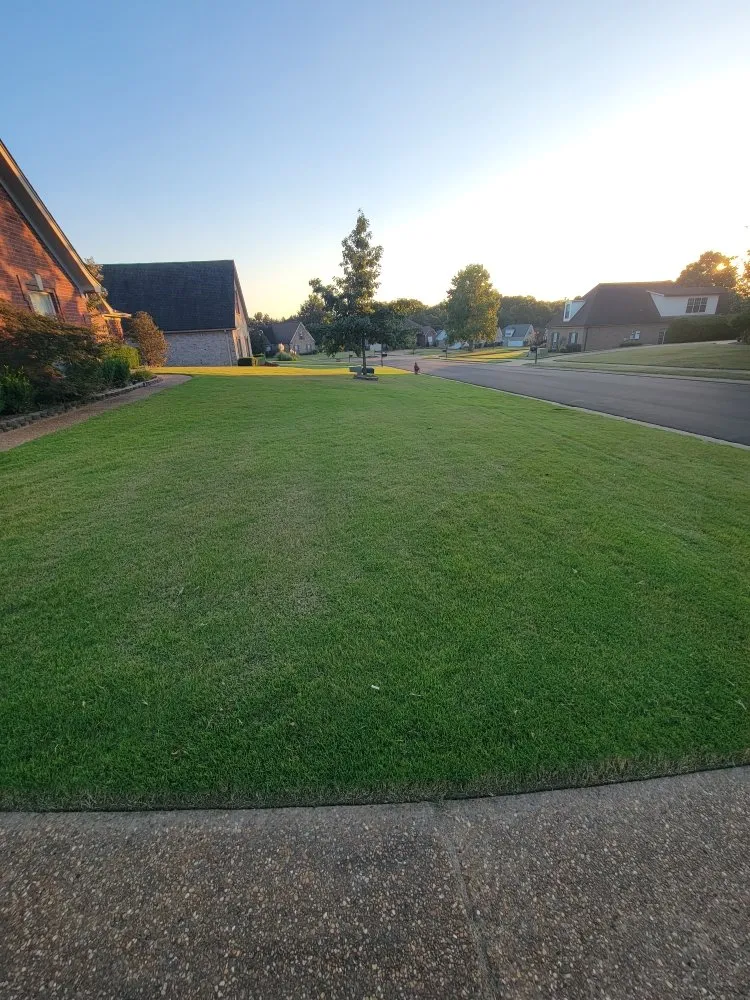 Affordable landscaping services in Olive Branch, MS - Meadors Southern Lawn Services