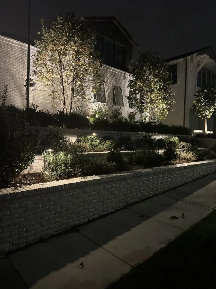 Local yard maintenance in Costa Mesa, CA by Meadow Landscape