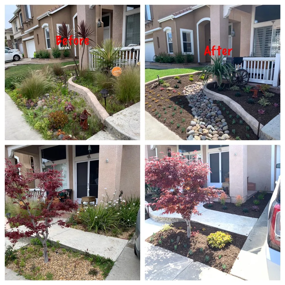 Custom outdoor landscaping for homes across Costa Mesa, CA - Meadow Landscape