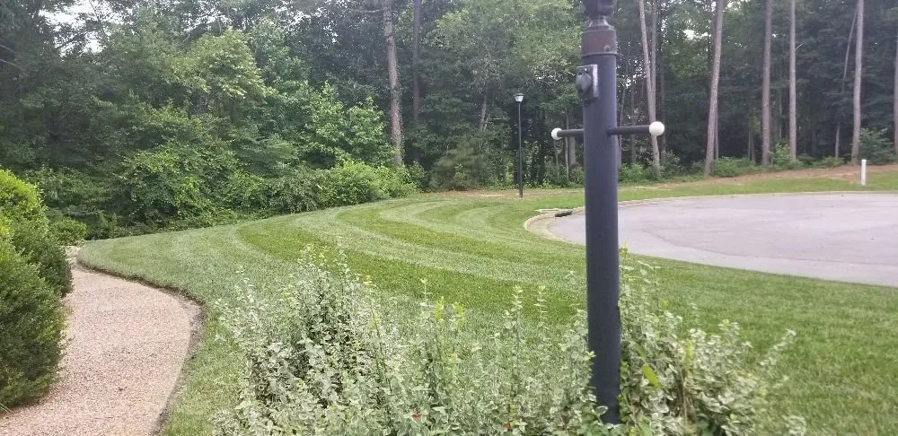 Top-rated outdoor landscaping in Carrollton, VA - Meadow Lawn & Pest