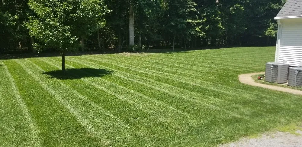 Reliable landscape installation experts serving Carrollton, VA - Meadow Lawn & Pest