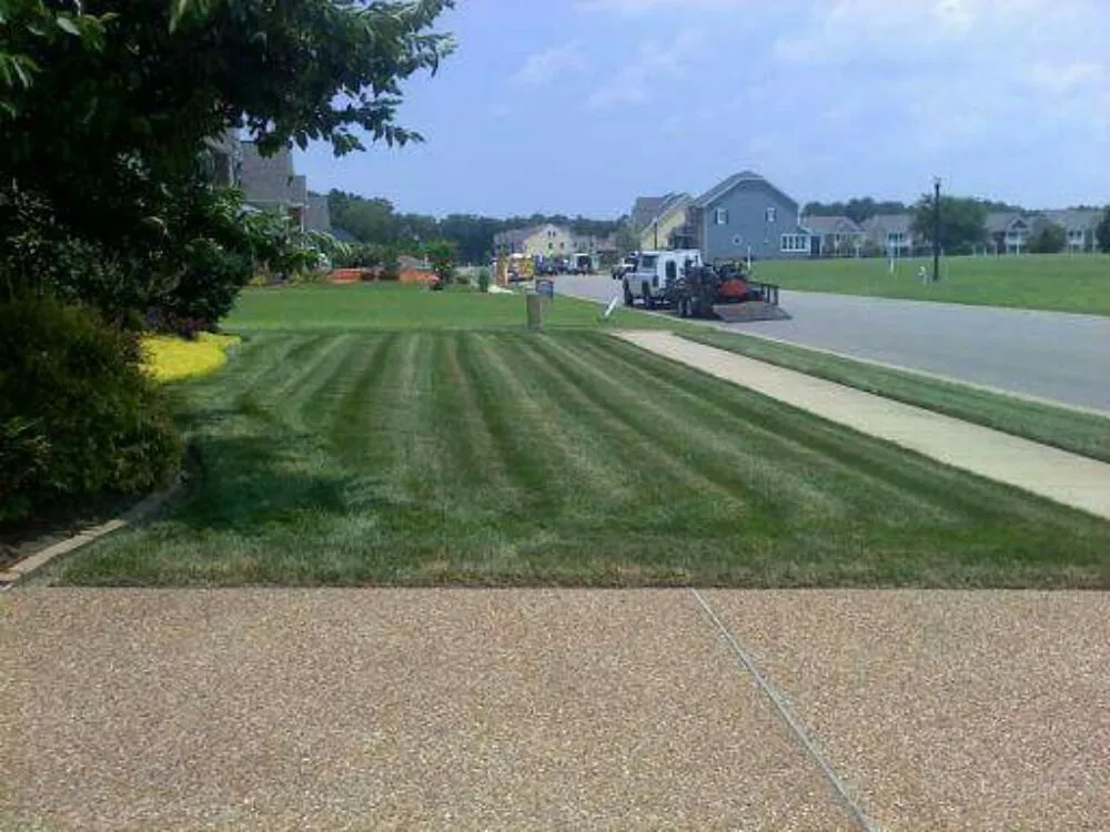 Expert landscape installation in Carrollton, VA - Meadow Lawn & Pest