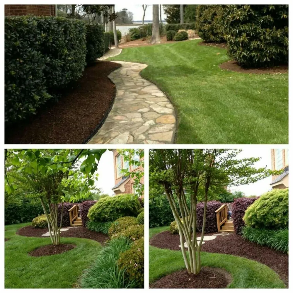 Top-rated lawn care service in Carrollton, VA by Meadow Lawn & Pest