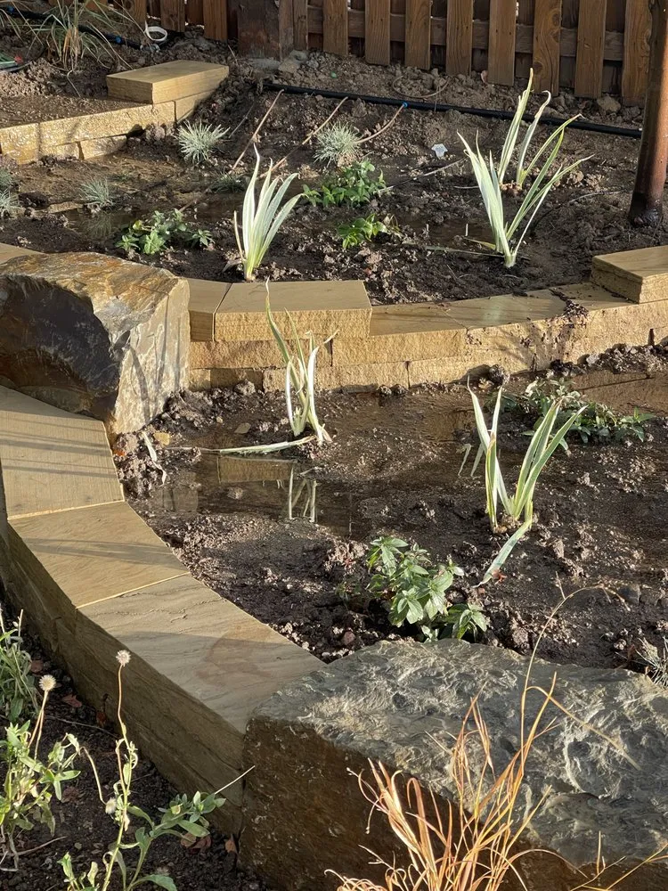 Top-rated yard maintenance in Denver, CO by Meadow Pro