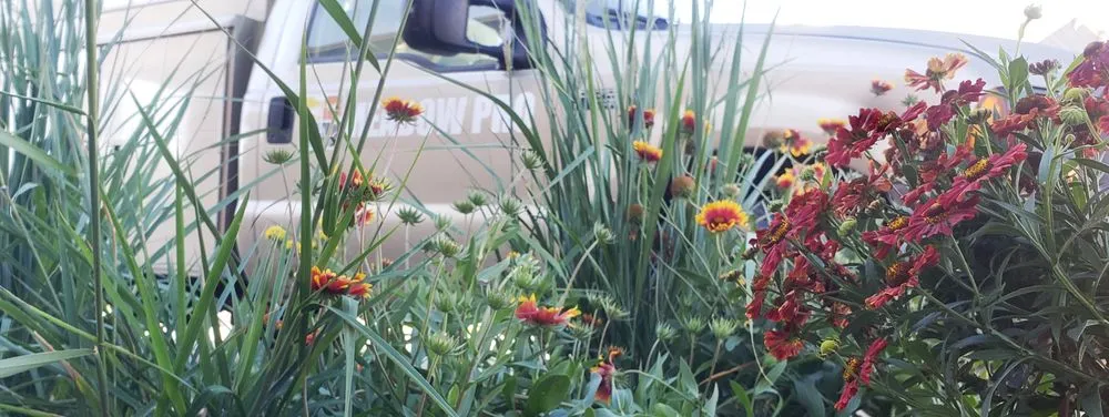 Professional lawn mowing service with custom design in Denver, CO by Meadow Pro