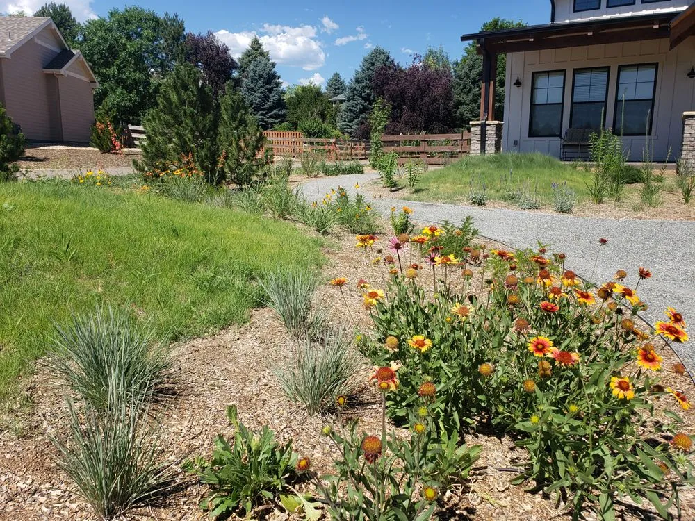 Affordable residential landscaping in Denver, CO - Meadow Pro
