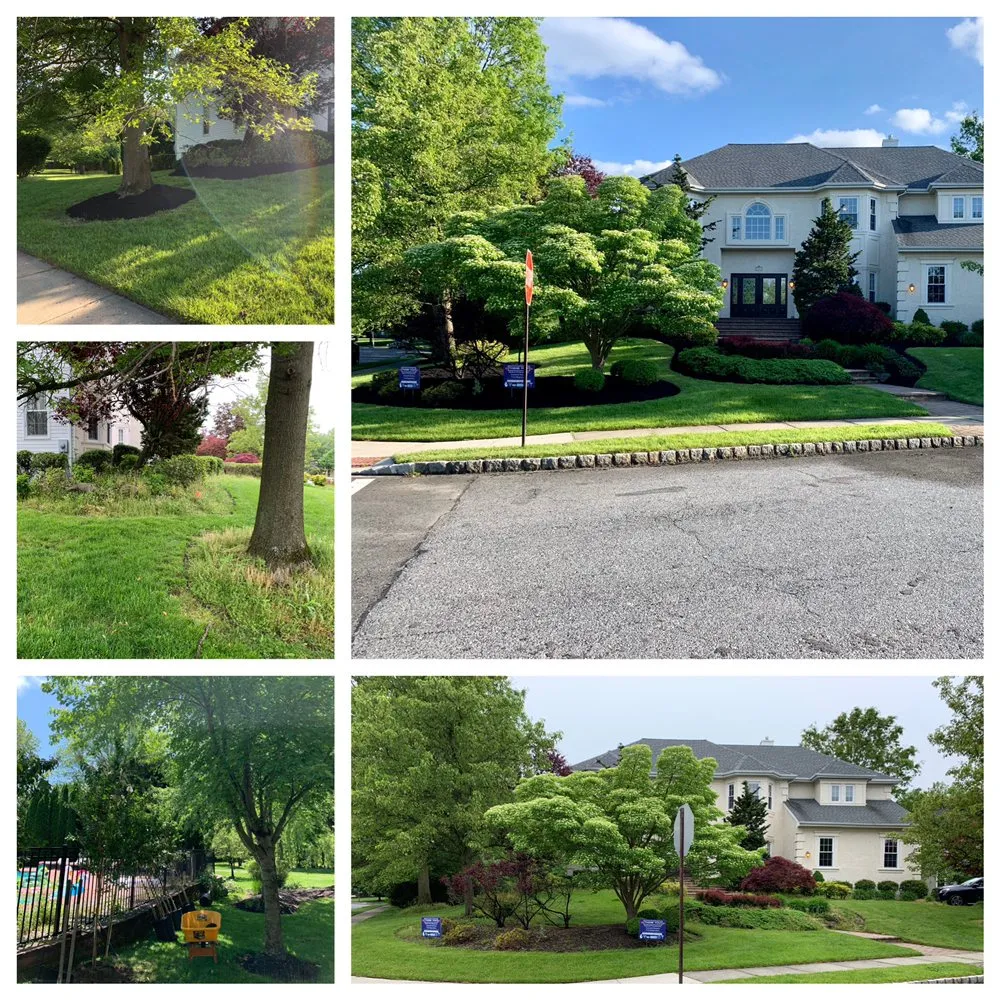 Local garden landscaping experts serving Evesham, NJ - Meadow View Landscaping