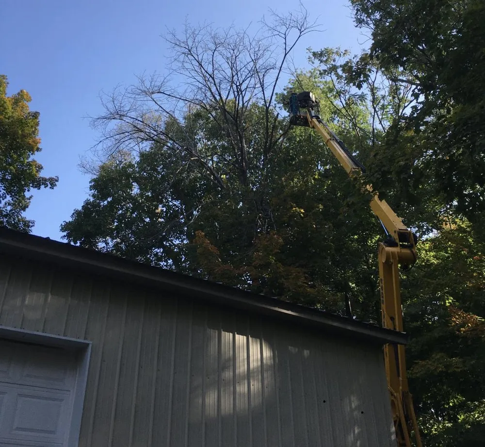 Affordable landscape installation experts serving Little Falls, MN - Meadow View Tree Service