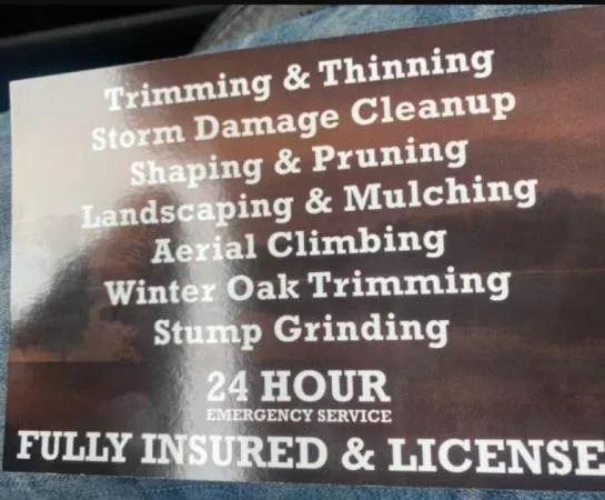 Top-rated lawn mowing service in Little Falls, MN by Meadow View Tree Service