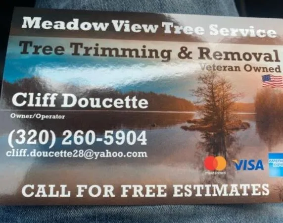 Affordable yard cleanup service near you in Little Falls, MN by Meadow View Tree Service