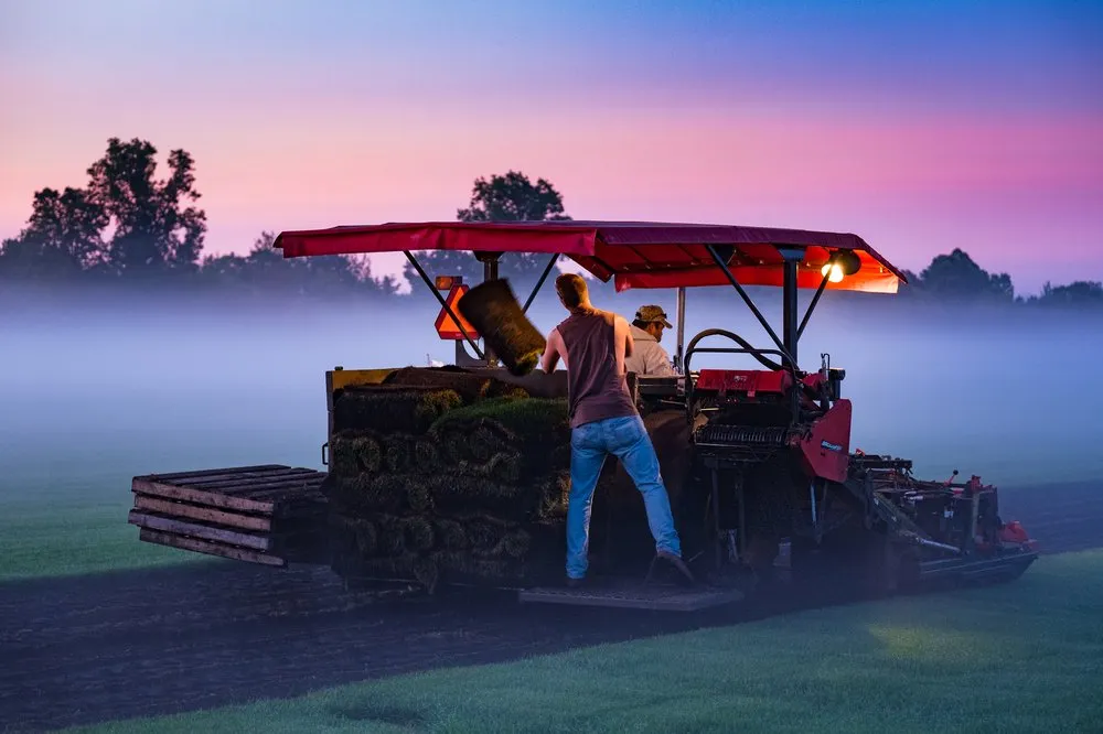 Trusted lawn care service in Brighton, MI - Meadowbrook Acres