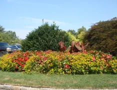 Professional landscape design experts serving West Babylon, NY - Meadowbrook Parking Area Contractors