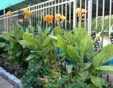 Professional outdoor landscaping experts serving West Babylon, NY - Meadowbrook Parking Area Contractors