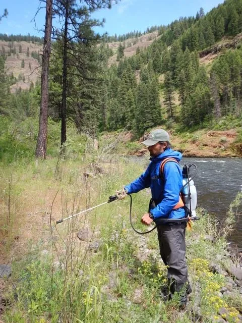 Reliable landscaping services for homes across Enterprise, OR - Meadowlark Land Services