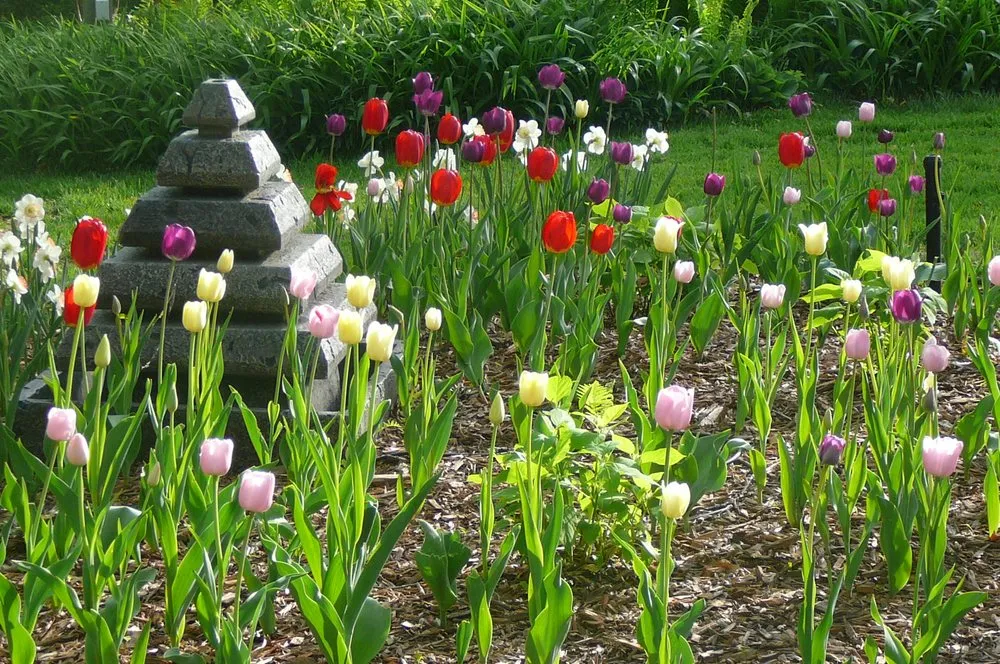 Local residential landscaping for homes across Menomonie, WI - Meadowlark Landscape & Design