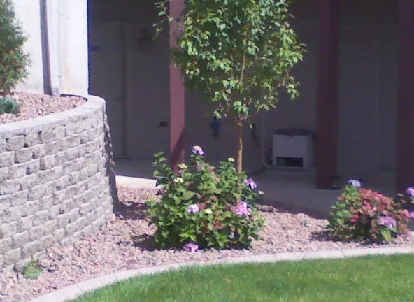 Reliable yard maintenance in Menomonie, WI - Meadowlark Landscape & Design