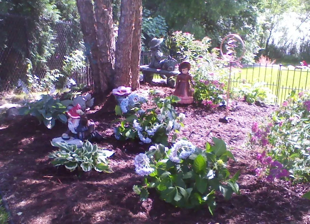 Trusted lawn care service in Menomonie, WI by Meadowlark Landscape & Design