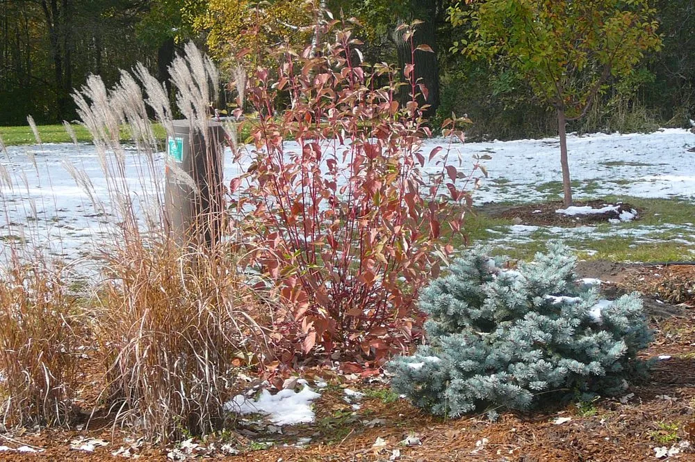 Trusted yard cleanup service in Menomonie, WI by Meadowlark Landscape & Design