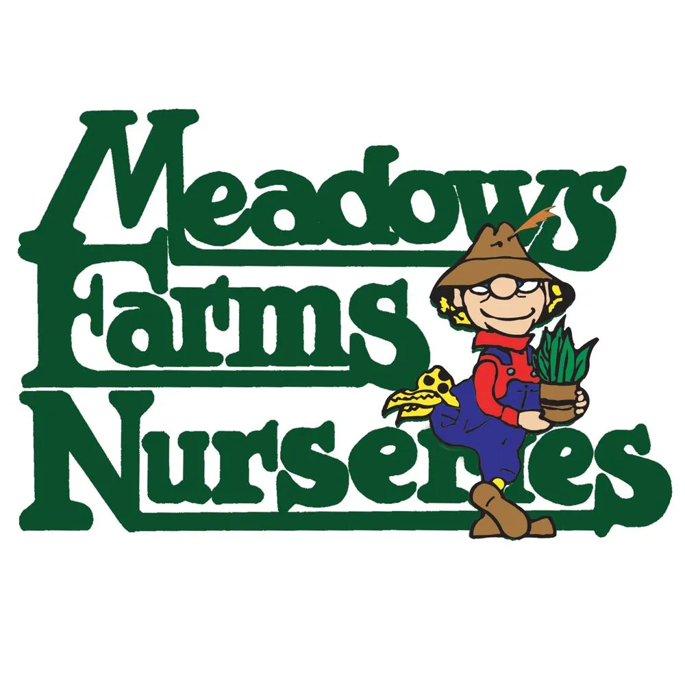 Affordable lawn care service for outdoor upgrades in Chantilly, VA by Meadows Farms Nurseries Landscaping
