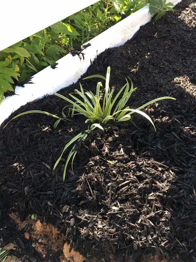 Reliable garden landscaping in Chantilly, VA - Meadows Farms Nurseries Landscaping