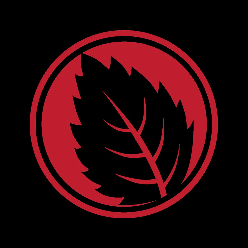 Custom landscaping services in Hanover Park, IL - Meadows