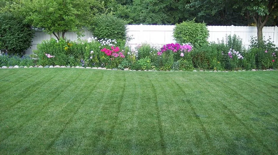 Custom yard cleanup service for homes in Hanover Park, IL by Meadows