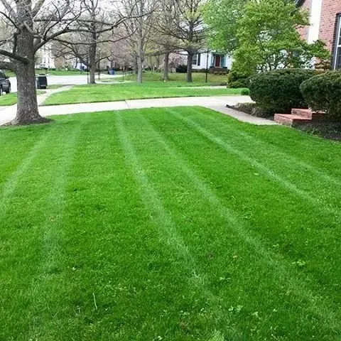 Affordable yard maintenance experts serving Hanover Park, IL - Meadows