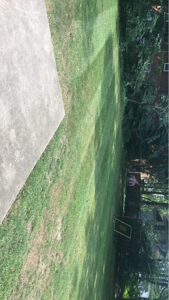 Affordable yard cleanup service for beautiful yards in Bedford, OH by Meadows Lawn Care