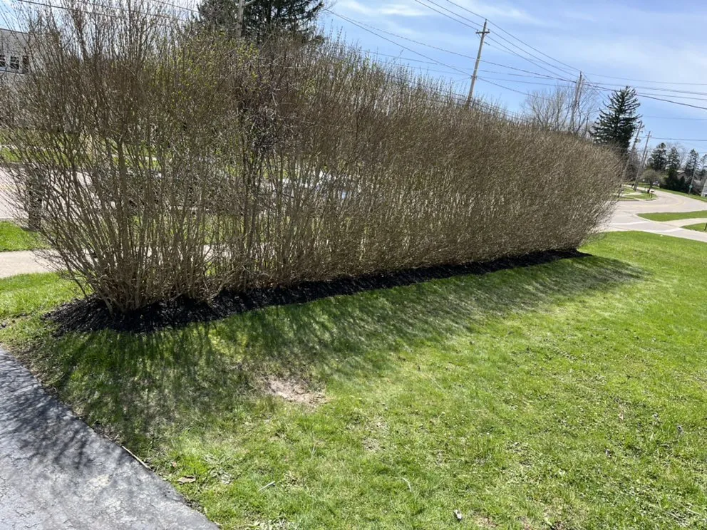 Professional landscape installation experts serving Bedford, OH - Meadows Lawn Care