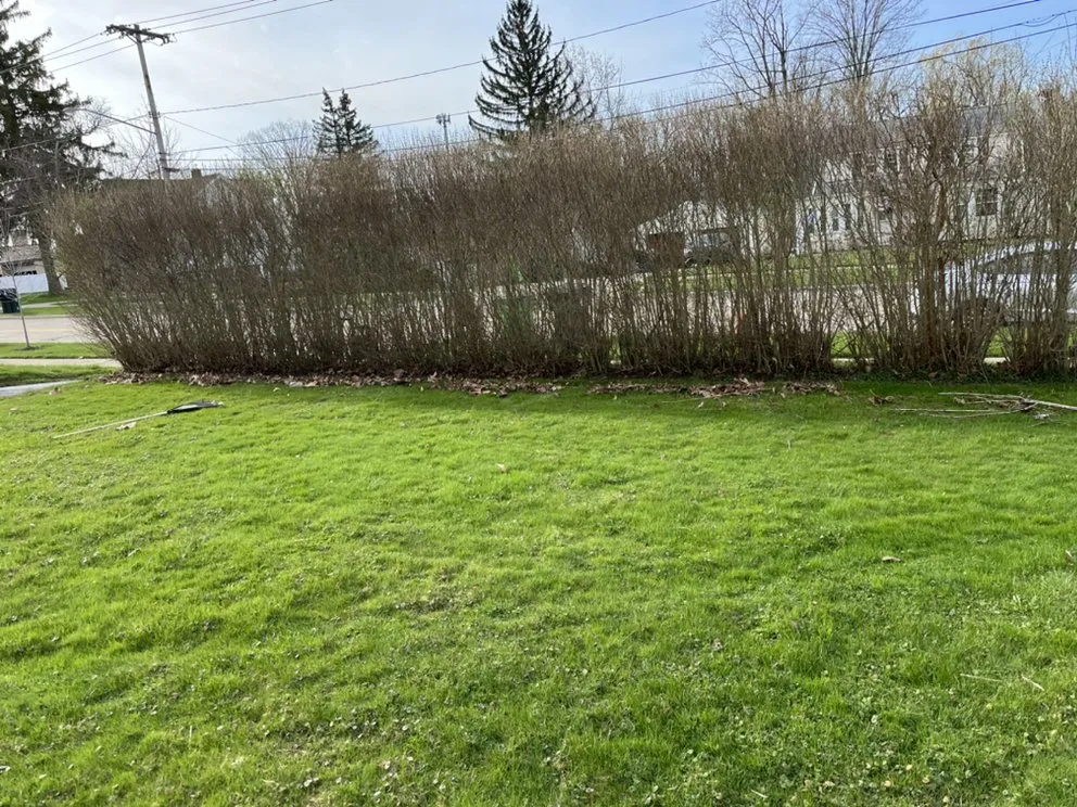 Local landscaping services in Bedford, OH by Meadows Lawn Care