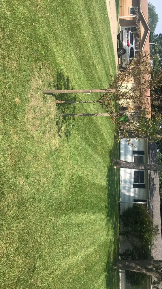 Trusted residential landscaping experts serving Bedford, OH - Meadows Lawn Care