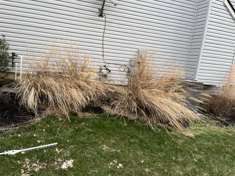 Professional landscape design in Bedford, OH by Meadows Lawn Care