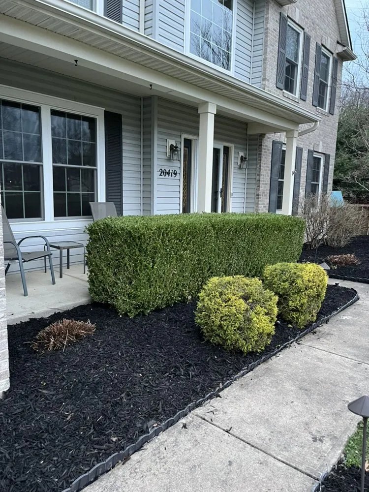 Reliable yard cleanup service with custom design across Bedford, OH - Meadows Lawn Care