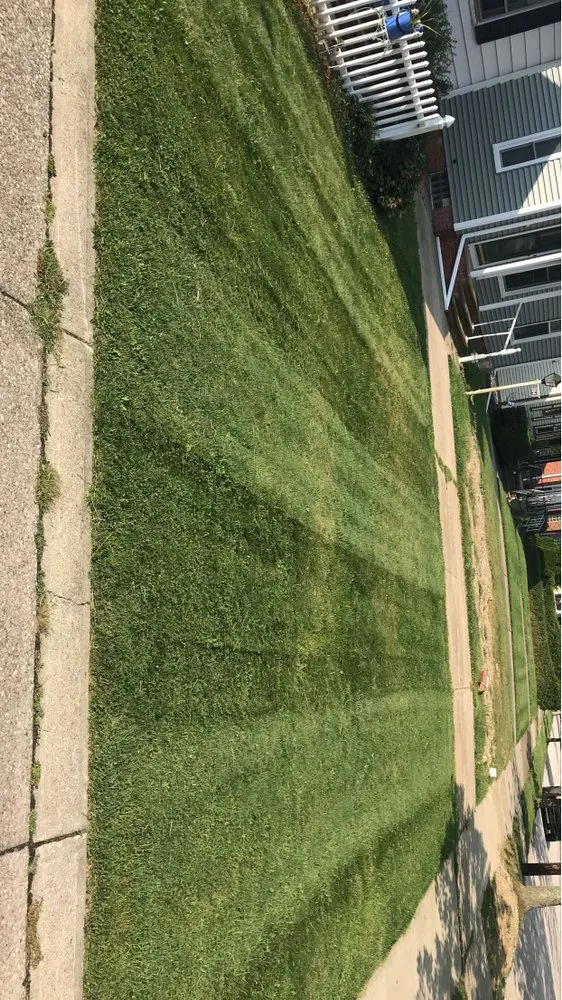 Expert yard maintenance with custom design in Bedford, OH by Meadows Lawn Care