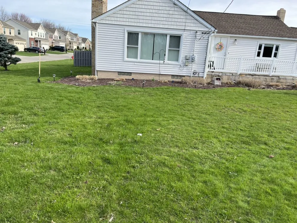 Affordable landscape design experts serving Bedford, OH - Meadows Lawn Care