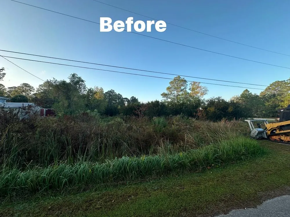 Affordable landscape design in Grand Bay, AL - Meadows Mulching Solutions