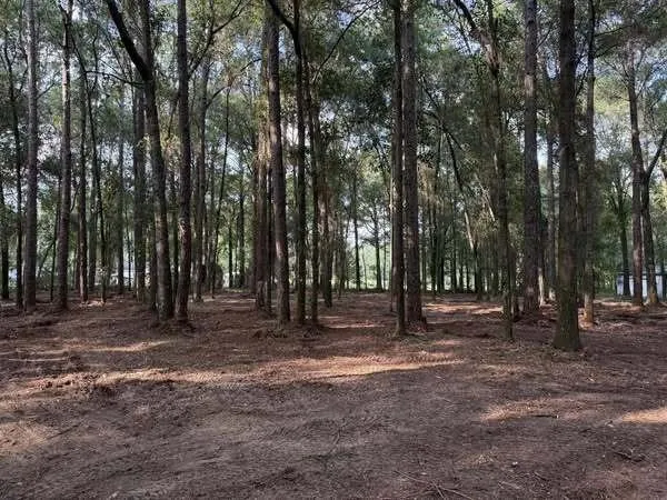 Custom landscaping services in Grand Bay, AL - Meadows Mulching Solutions