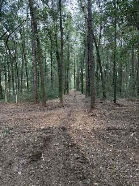 Reliable residential landscaping experts serving Grand Bay, AL - Meadows Mulching Solutions