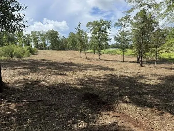 Reliable landscaping services experts serving Grand Bay, AL - Meadows Mulching Solutions