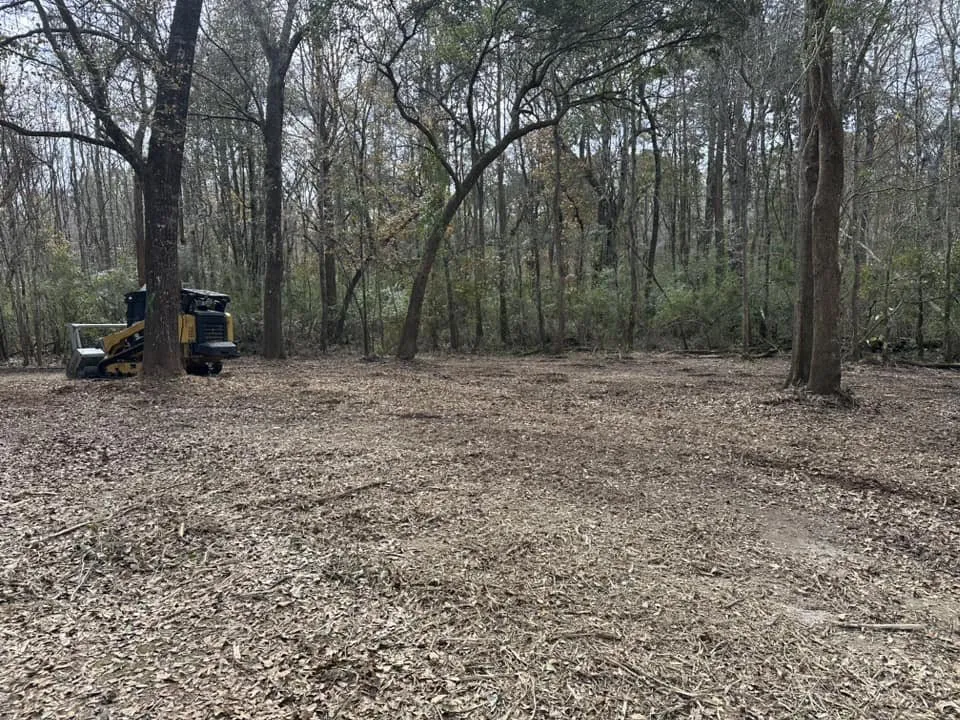 Professional residential landscaping in Grand Bay, AL by Meadows Mulching Solutions