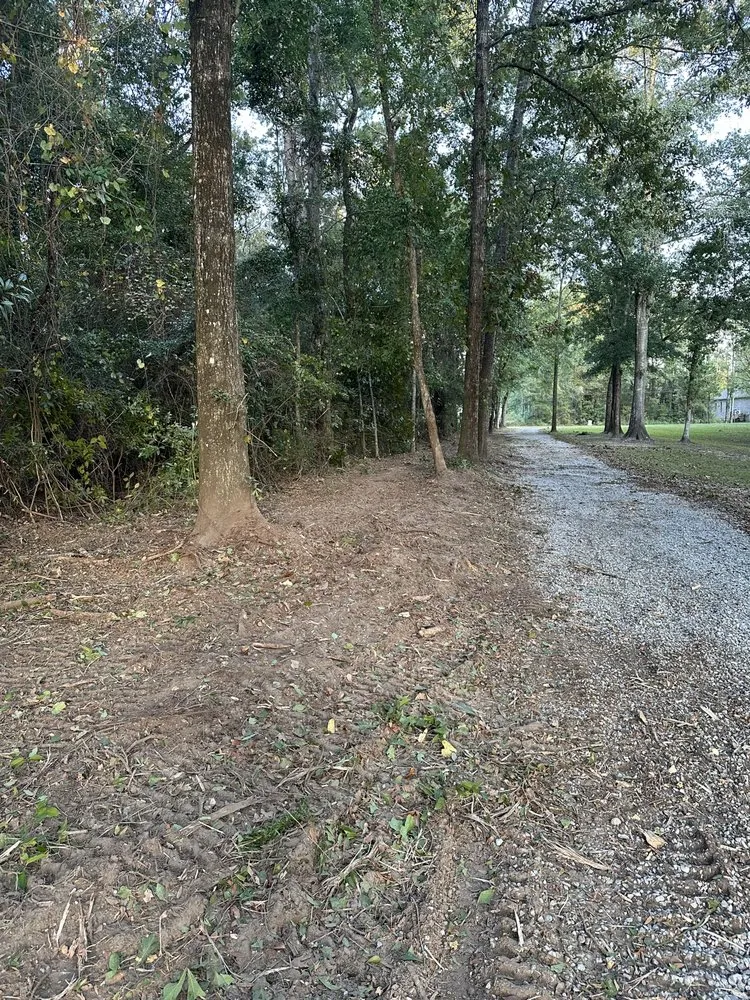 Affordable garden landscaping for year-round maintenance across Grand Bay, AL - Meadows Mulching Solutions