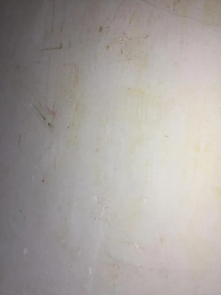 Professional residential landscaping for year-round maintenance in Aledo, TX by Mead's Painting Services