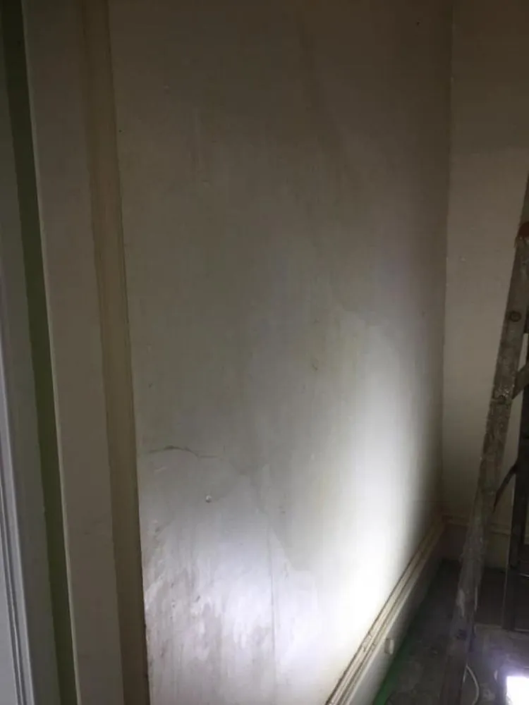 Professional lawn care service in Aledo, TX by Mead's Painting Services