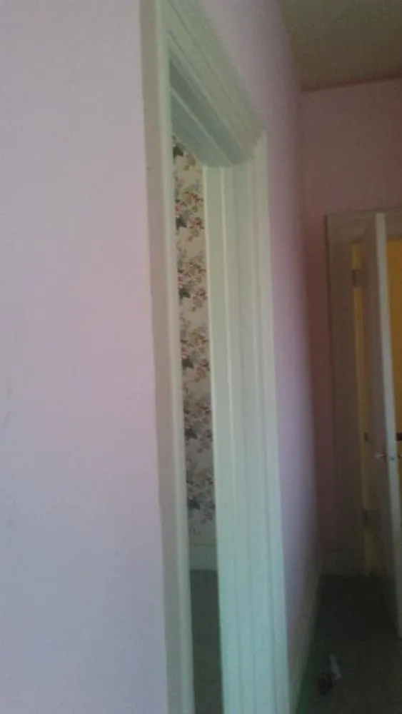 Top-rated yard cleanup service in Aledo, TX - Mead's Painting Services