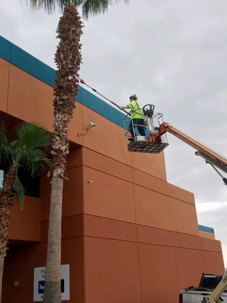 Trusted lawn mowing service experts serving El Paso, TX - Mean Clean Property Maintenance