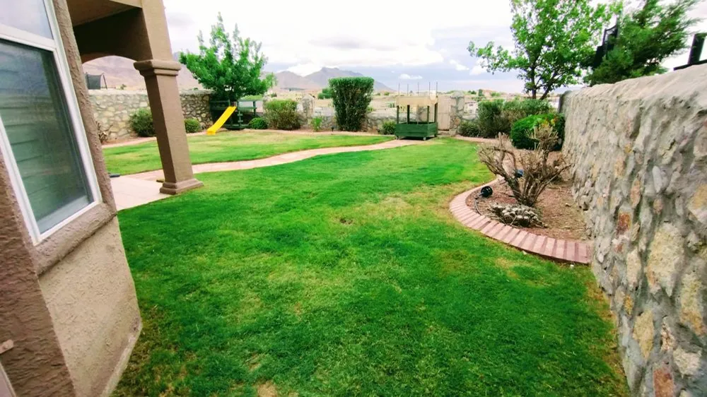 Affordable landscaping services for beautiful yards in El Paso, TX by Mean Clean Property Maintenance