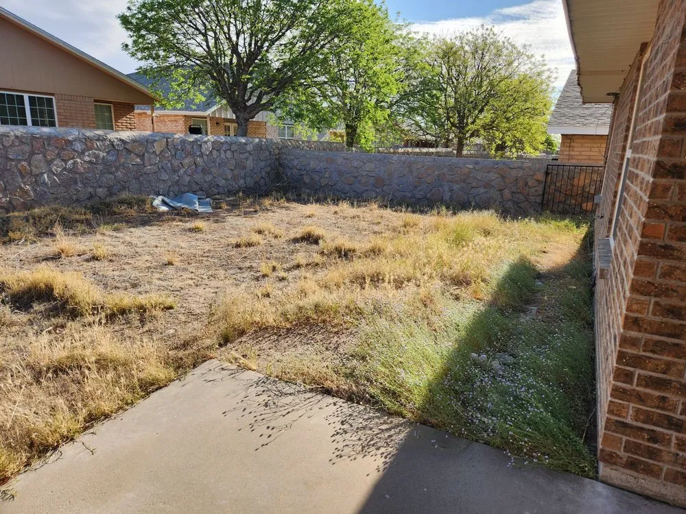 Reliable yard cleanup service experts serving El Paso, TX - Mean Clean Property Maintenance