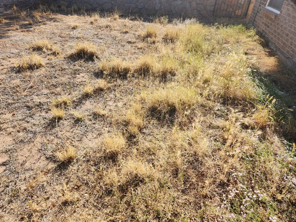 Local landscape design experts serving El Paso, TX - Mean Clean Property Maintenance